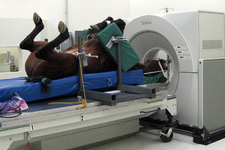 Computed tomography of the head