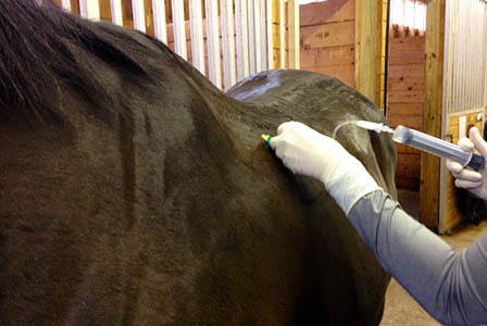 mesotherapy mesotherapy