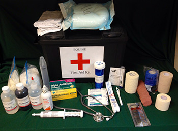 First Aid Kit