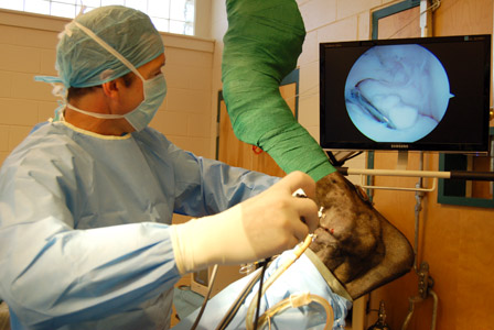 Laparoscopy - a minimally invasive surgical technique